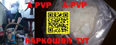 спиды Кимры