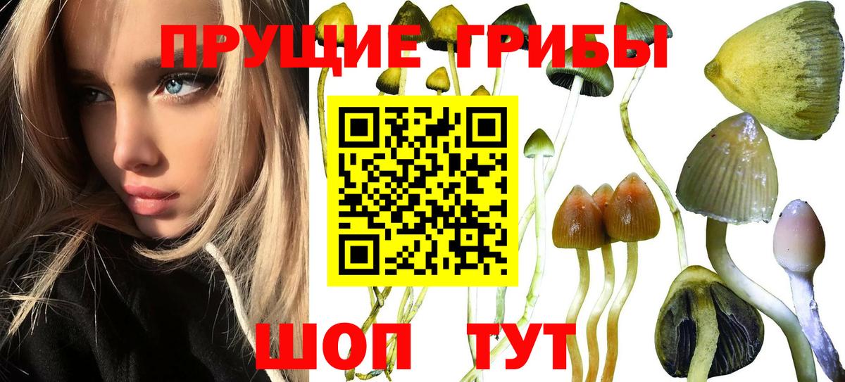 Псилоцибиновые грибы Magic Shrooms Ялуторовск